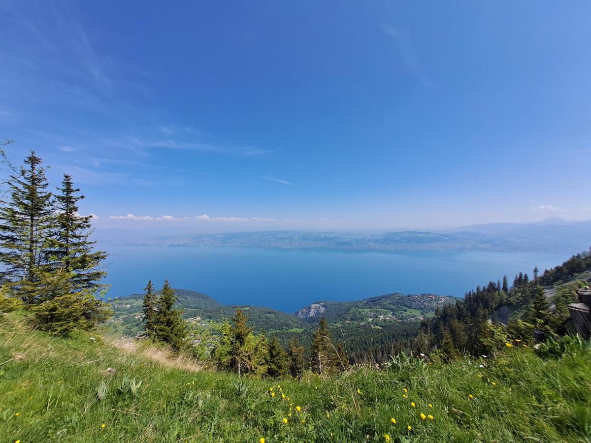 Duplex-Chalet Entre Lac Et Montagne Avec Balcon Lugrin Kültér fotó